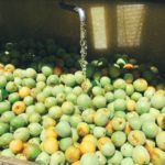 子供達に大好評！簡単『自家製梅シロップ』の作り方